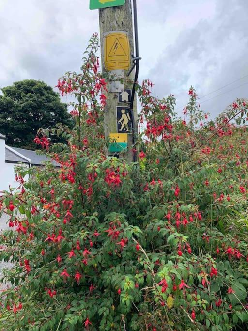 Castlegregory-Seaside 2 Bedroomed Cottage Экстерьер фото