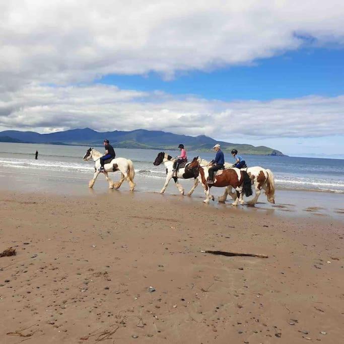 Castlegregory-Seaside 2 Bedroomed Cottage Экстерьер фото